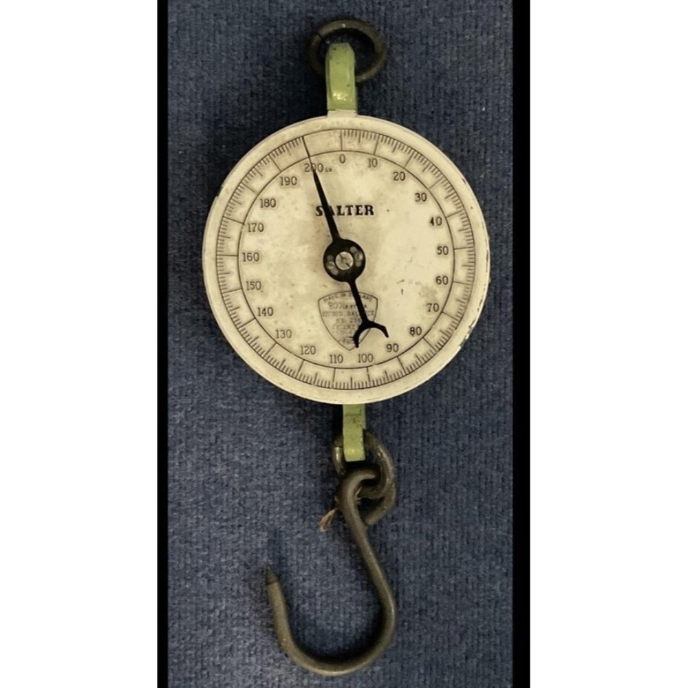 Big Salter 200 lb by 1lb Spring balance scale